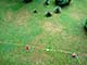 Grounds, Martin John Callanan itakephotos.eu