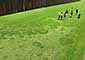Grounds, Martin John Callanan itakephotos.eu