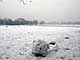 Ice Balls, Victoria Park, London, UK, 5 Feburary 2009