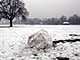 Ice Balls, Victoria Park, London, UK, 5 Feburary 2009