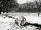 Ice Balls, Victoria Park, London, UK, 5 Feburary 2009