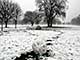 Ice Balls, Victoria Park, London, UK, 5 Feburary 2009
