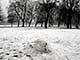 Ice Balls, Victoria Park, London, UK, 5 Feburary 2009