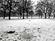 Ice Balls, Victoria Park, London, UK, 5 Feburary 2009