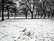 Ice Balls, Victoria Park, London, UK, 5 Feburary 2009