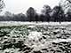 Ice Balls, Victoria Park, London, UK, 5 Feburary 2009