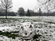 Ice Balls, Victoria Park, London, UK, 5 Feburary 2009