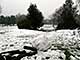 Ice Balls, Victoria Park, London, UK, 5 Feburary 2009