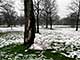 Ice Balls, Victoria Park, London, UK, 5 Feburary 2009
