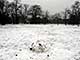 Ice Balls, Victoria Park, London, UK, 5 Feburary 2009